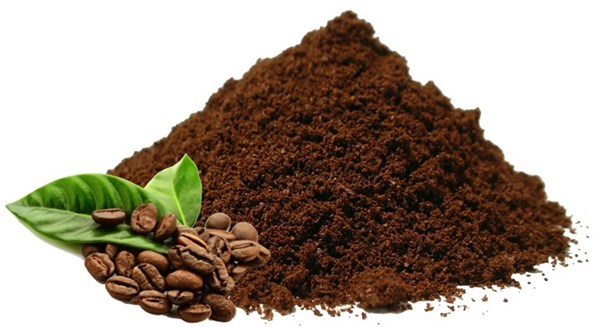 10 tác dụng của bã cà phê có thể bạn chưa biết