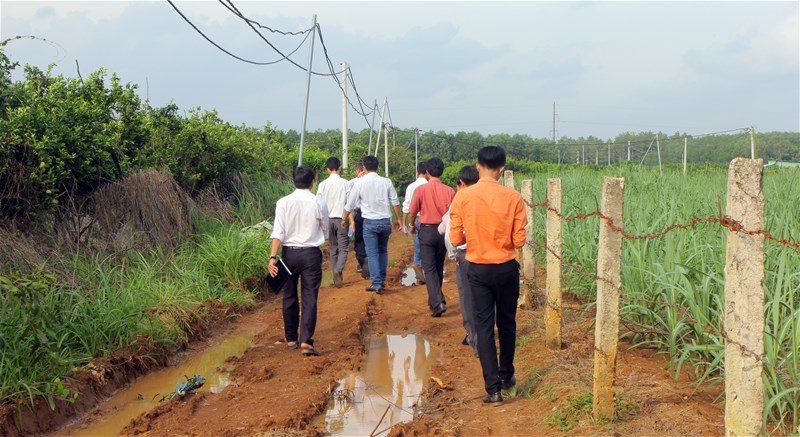 đưa khoa học công nghệ vào phát triển nông nghiệp tại huyện Vĩnh Cữu
